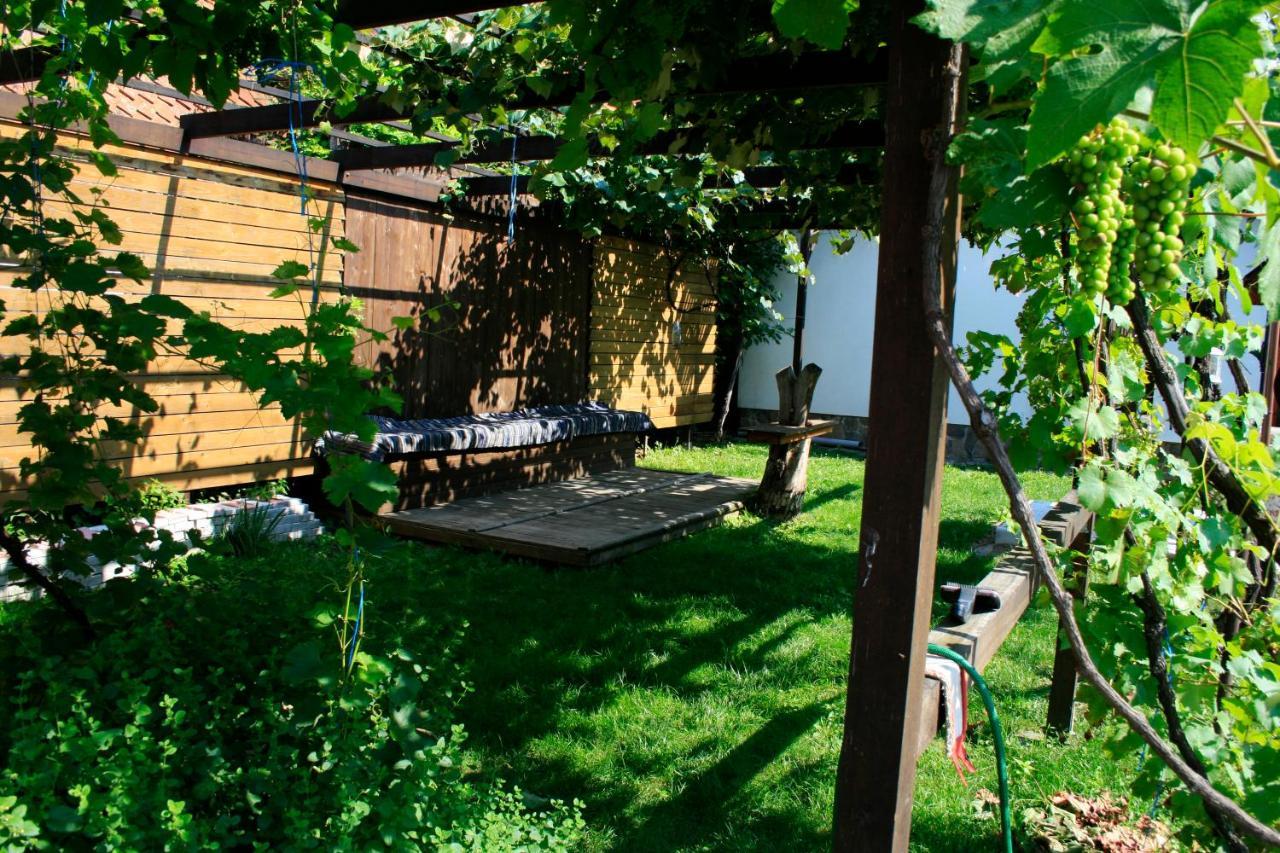 Albinuta Guesthouse Ozun Zewnętrze zdjęcie