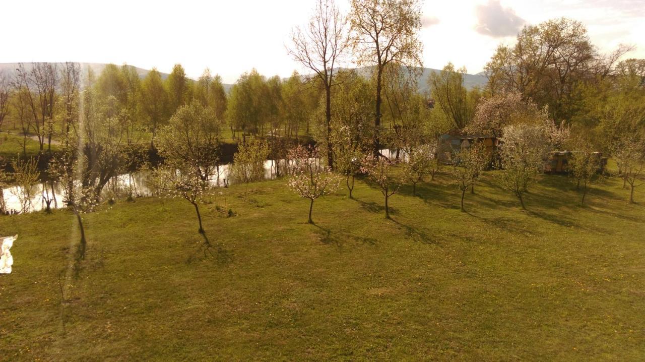 Albinuta Guesthouse Ozun Zewnętrze zdjęcie