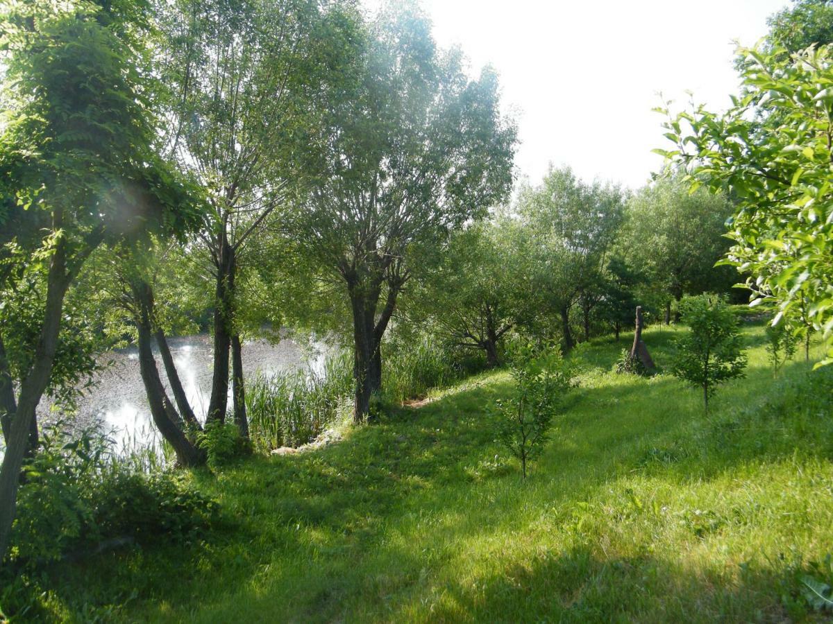 Albinuta Guesthouse Ozun Zewnętrze zdjęcie