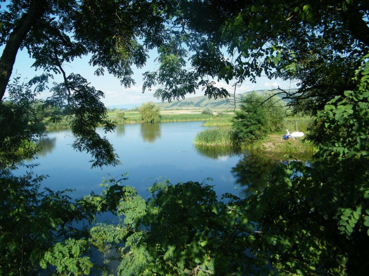 Albinuta Guesthouse Ozun Zewnętrze zdjęcie