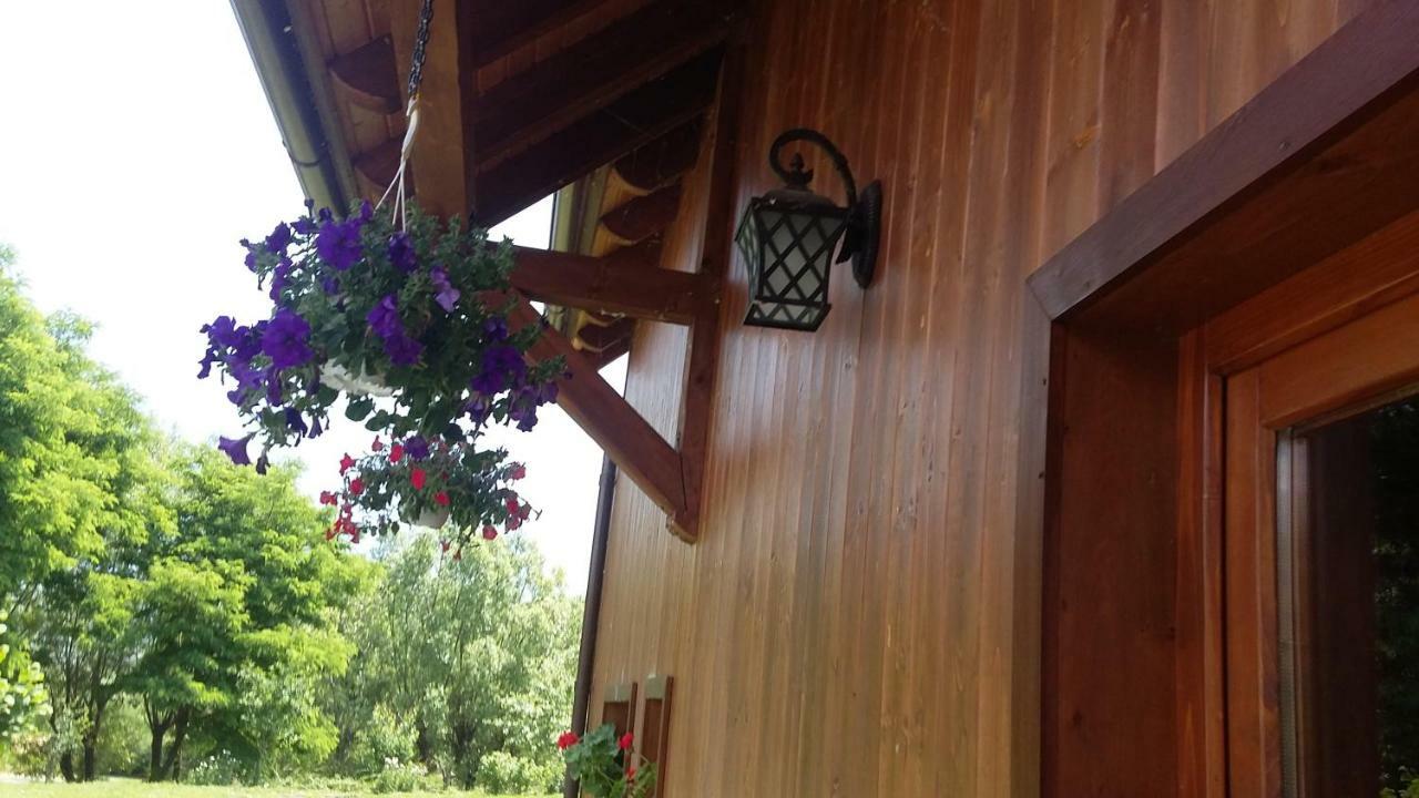 Albinuta Guesthouse Ozun Zewnętrze zdjęcie
